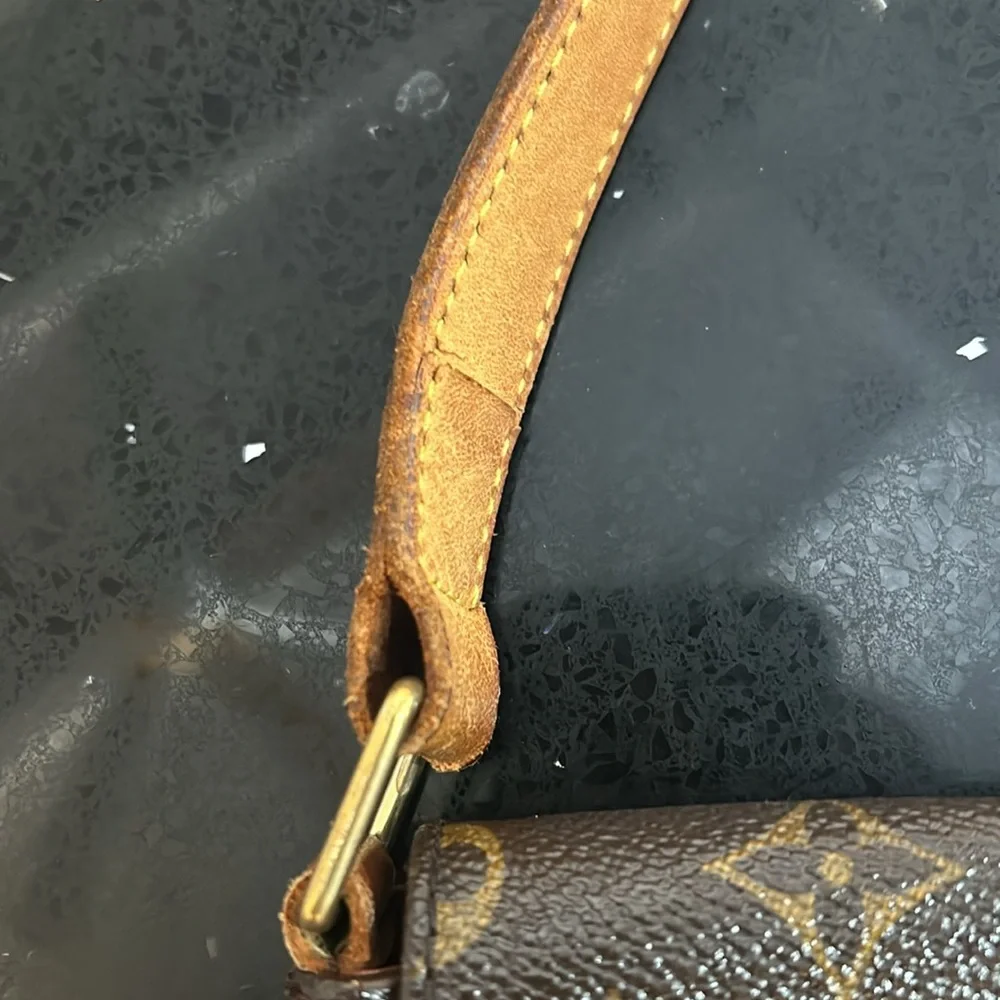 Louis Vuitton RunWay Bag - Picture 8 of 16